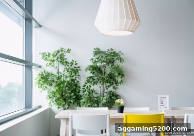 体育博彩公司如何利用区块链打破信任壁垒？——从透明账本到大乐透的公平性革命