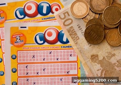 体育博彩公司深度解析：不计输赢返水的真实机制与玩家策略