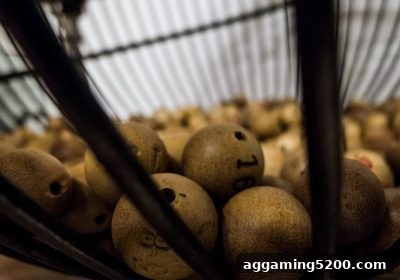 2026年彩票市场消费趋势全景：体育博彩公司如何引领玩家理性参与？