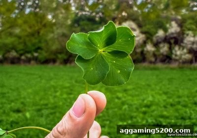 体育博彩公司视角下的彩票监管合规框架与市场实践