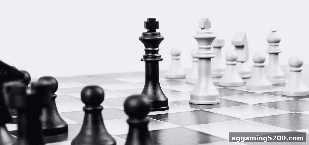 体育博彩公司视角下的桥牌沟通艺术：合法信号与默契培养
