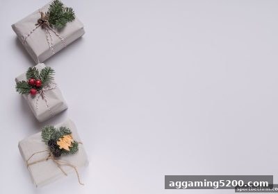 体育博彩公司VIP福利深度解读：不计胜负返水如何让游戏更纯粹？