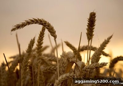 体育博彩公司极速赛车首存红利全攻略：竞速竞猜与世界杯直播双赢指南