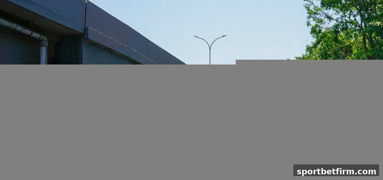 体育博彩公司视角下的RTG电子平台资金安全：从授权到应急的完整防线