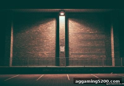 体育博彩公司深度解析：电子转轴游戏与炸金花玩法如何巧妙融合？