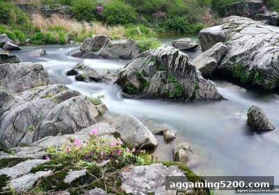 精准掌握足球赛程：体育博彩公司如何助力球迷优化观赛规划？